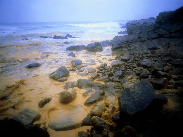 มหาสมุทร