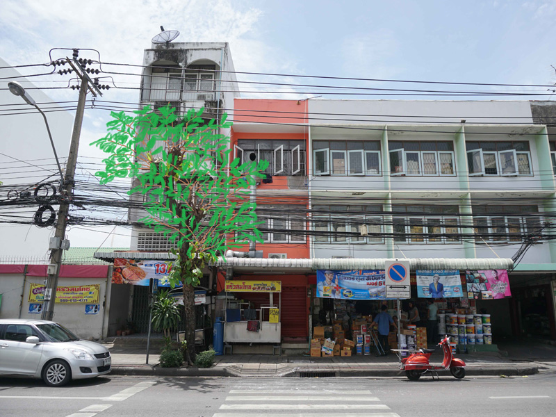 ต้นไม้