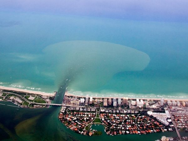 มหาสมุทร