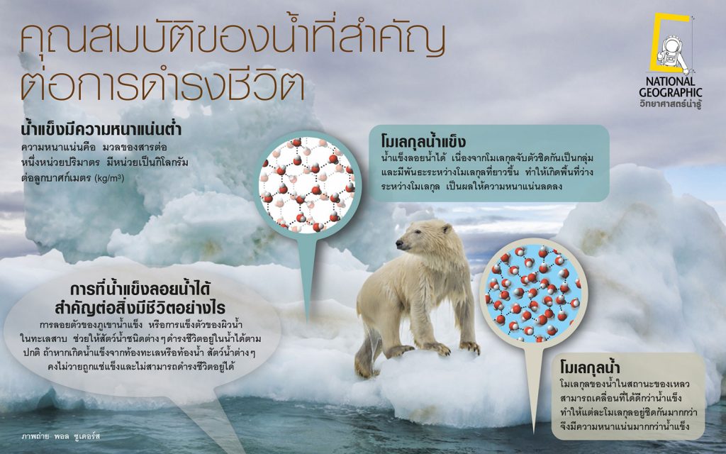 สมบัติที่สำคัญของน้ำ, น้ำแข็ง, วิทยาศษสตร์, ความหนาแน่น