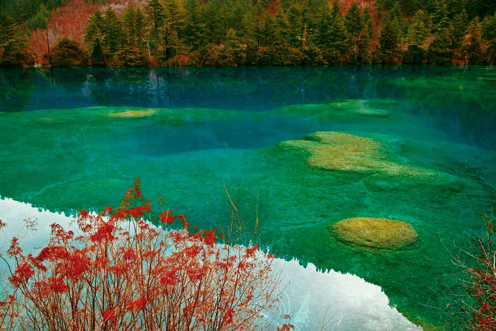 จิ่วไจ้โกว