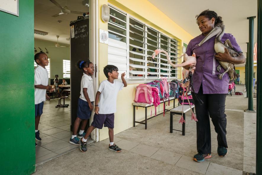 ฟลามิงโก