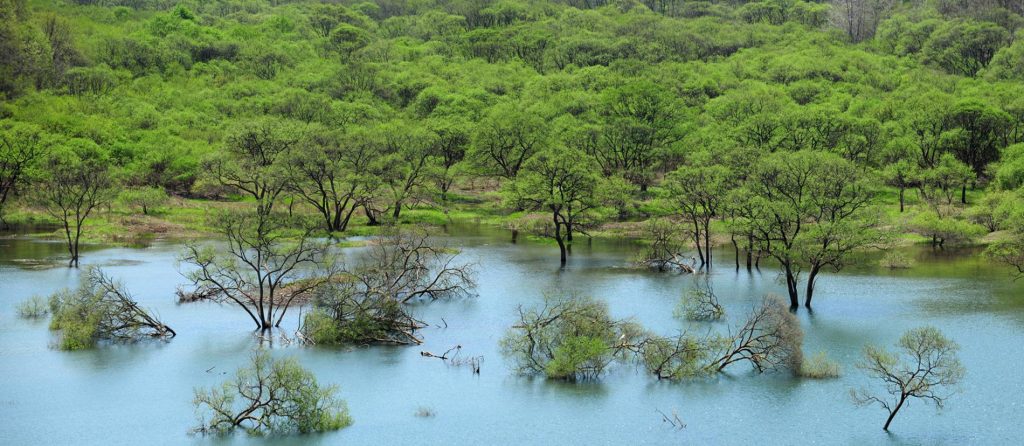 ความขัดแย้ง