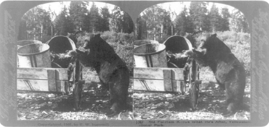 อุทยานแห่งชาติ