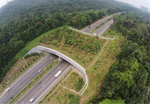 สะพานเชื่อมเพื่อสัตว์ป่า