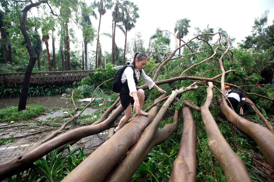 ภาพความเสียหายจาก ไต้ฝุ่นมังคุด