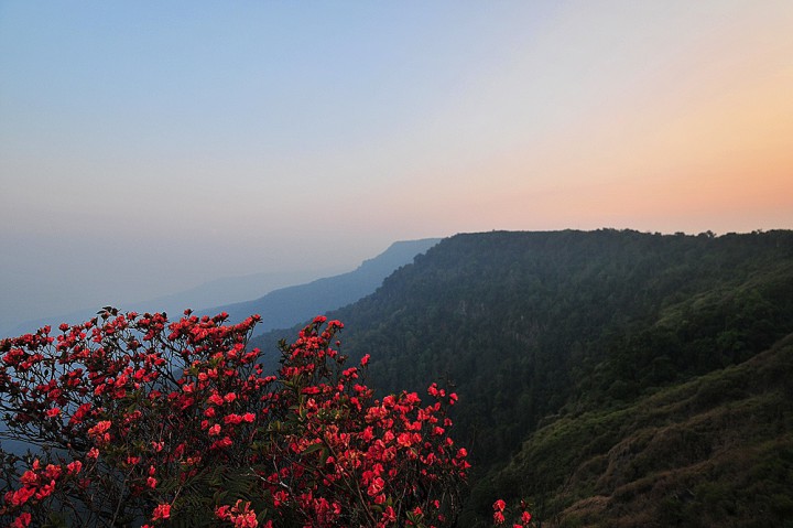 เดินป่า, เดินป่าในเมืองไทย, เส้นทางศึกษาธรรมชาติ, ภูหลวง, จังหวัเลย