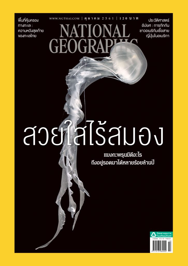 เนชั่นแนล จีโอกราฟฟิก