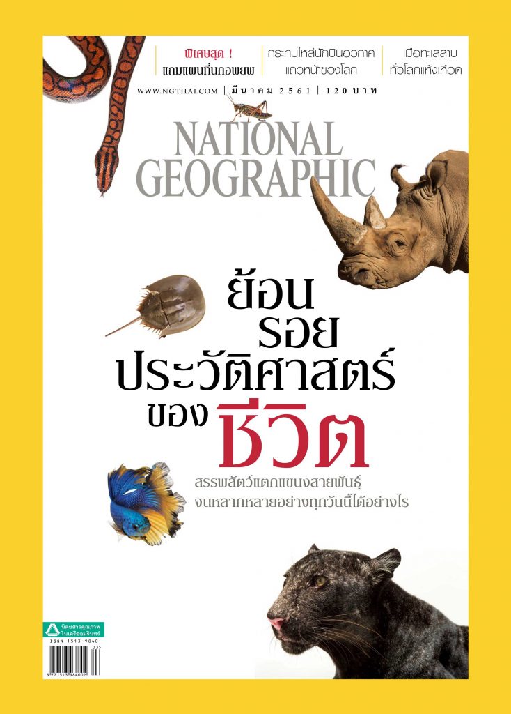 เนชั่นแนล จีโอกราฟฟิก