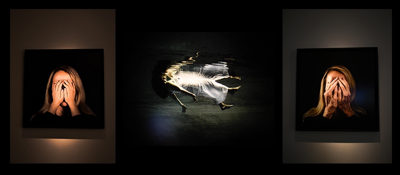 งานศิลปะ, ภาพถ่าย, ผลงาน, แกลลอรี่