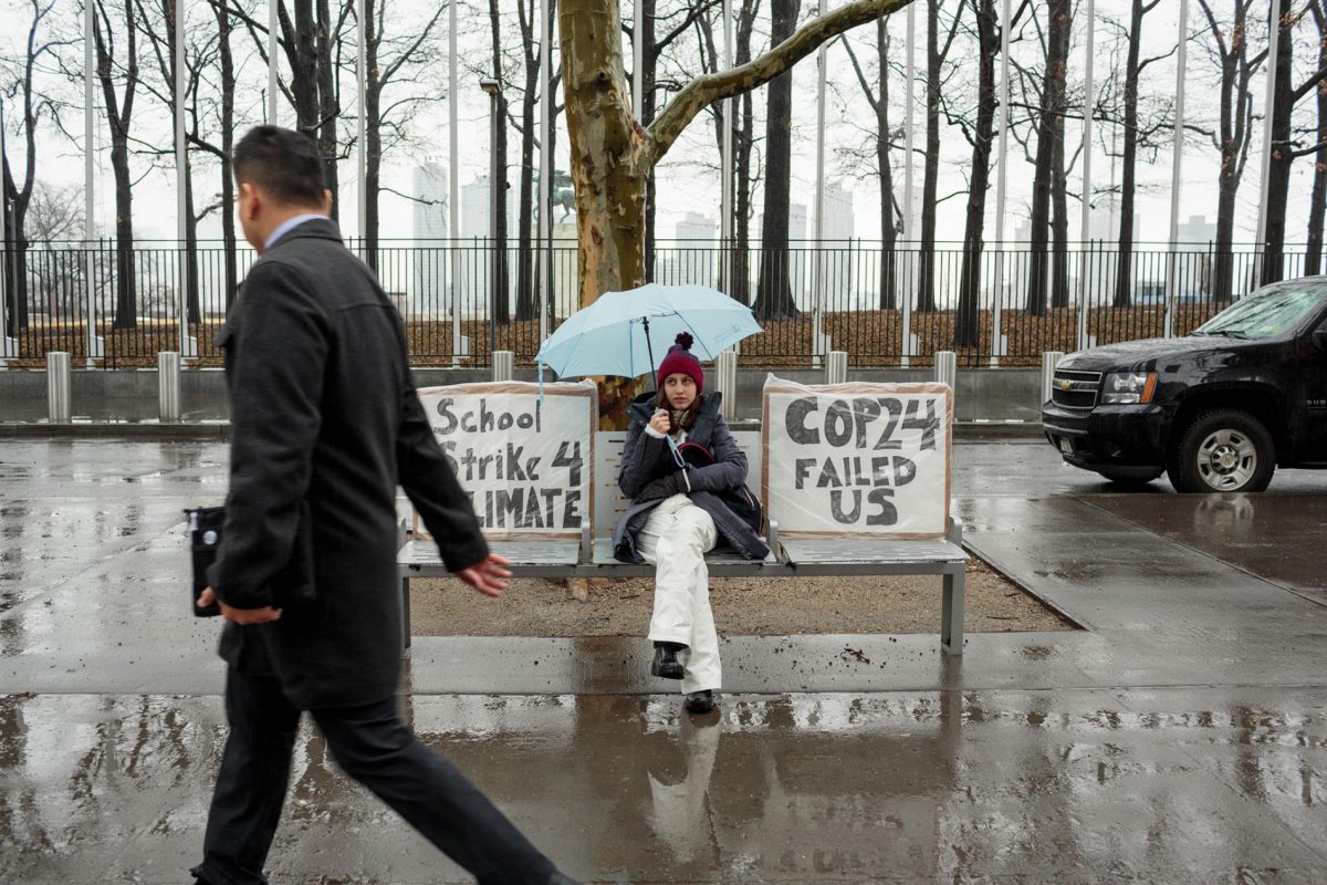 Fridays for future, เกรียตา ทุนแบร์ย, School strike for climate