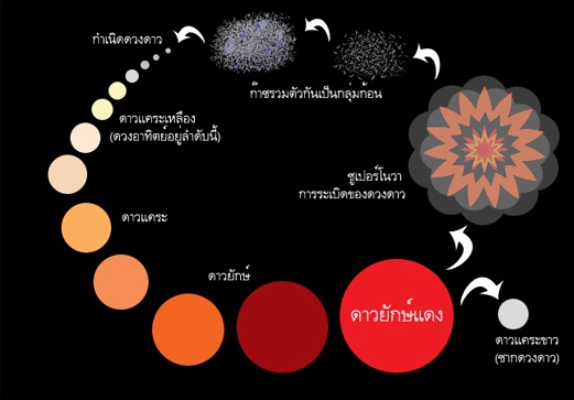 ดาว
