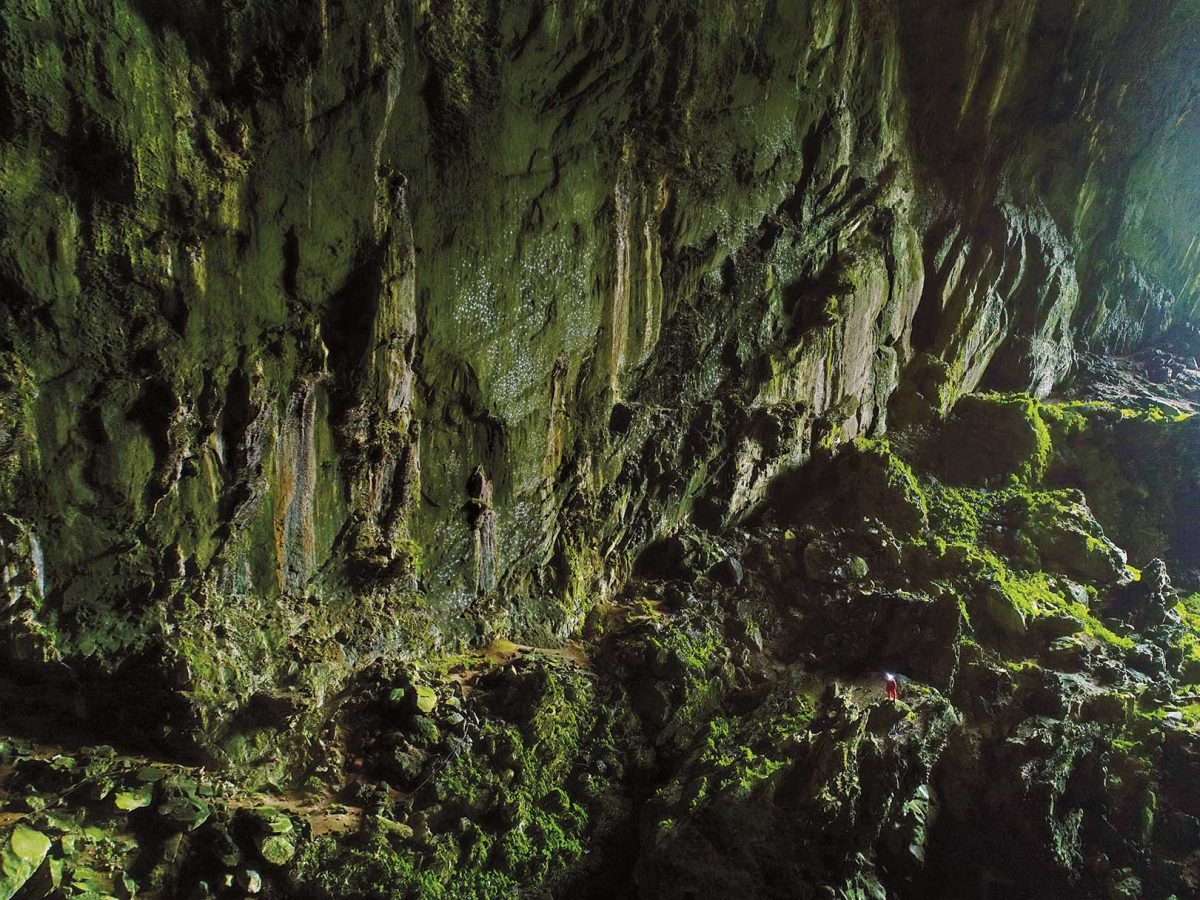 เกาะบอร์เนียว