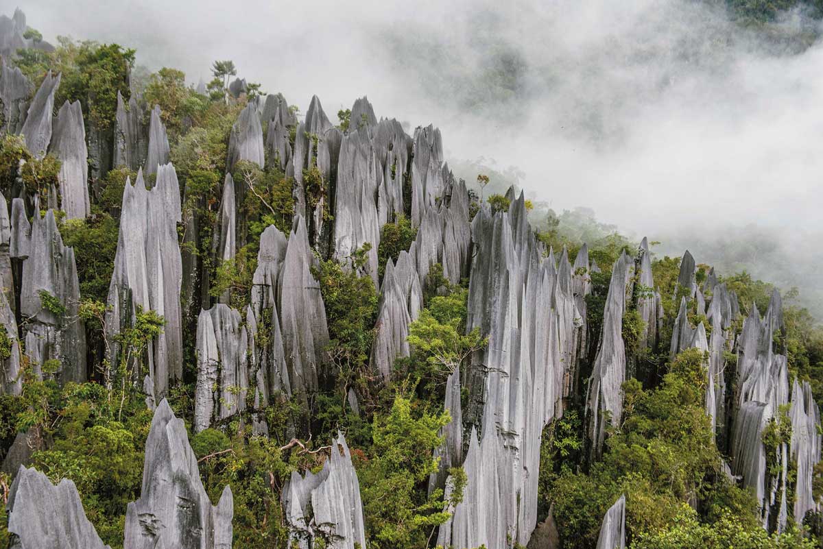 เกาะบอร์เนียว