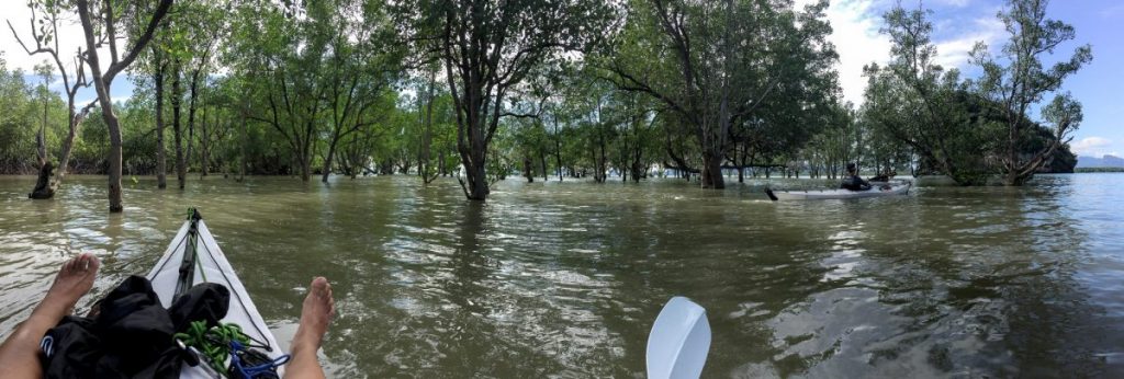 ป่าชายเลน, เรือคายัค, พายเรือ, ท่องเที่ยว