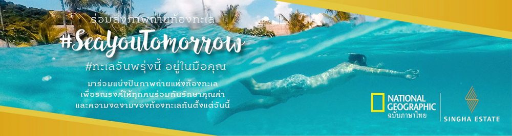 SeaYouTomorrow