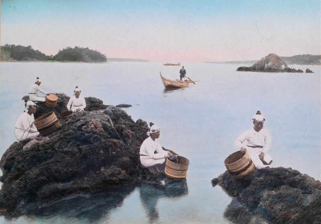 ช่างภาพหญิง, เอไลซา ซิดมอร์, Eliza R. Scidmore
