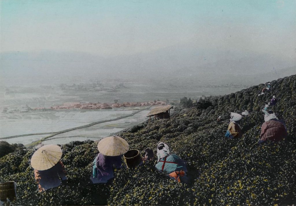 ช่างภาพหญิง, เอไลซา ซิดมอร์, Eliza R. Scidmore