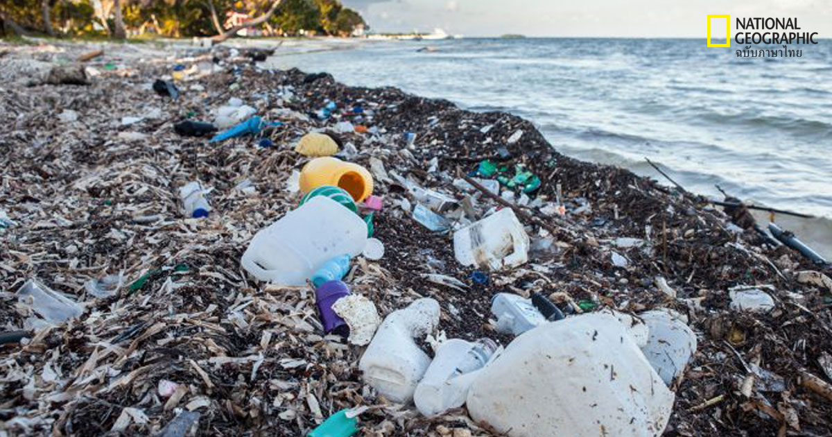 มหาสมุทรเป็นพิษ: ภาพถ่ายที่ช่วยย้ำเตือนถึงสถานะน่ากังวลของทะเลในปัจจุบัน