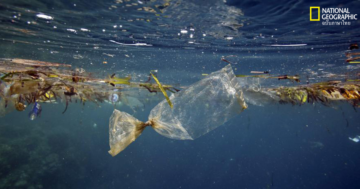 91% ของพลาสติก ไม่ได้ถูกนำกลับมาใช้ใหม่