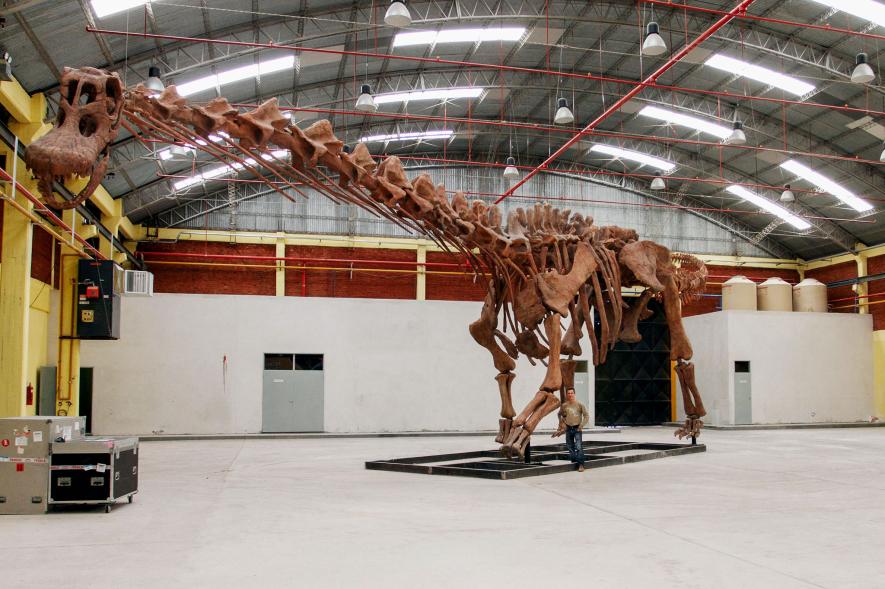 ไดโนเสาร์สายพันธุ์ใหม่ เป็นสัตว์ขนาดใหญ่ที่สุดเท่าที่มีมาบนโลก
