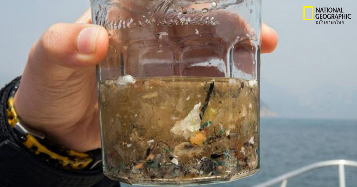 พลาสติกขนาดเล็กกลายเป็นขยะมหาสมุทร