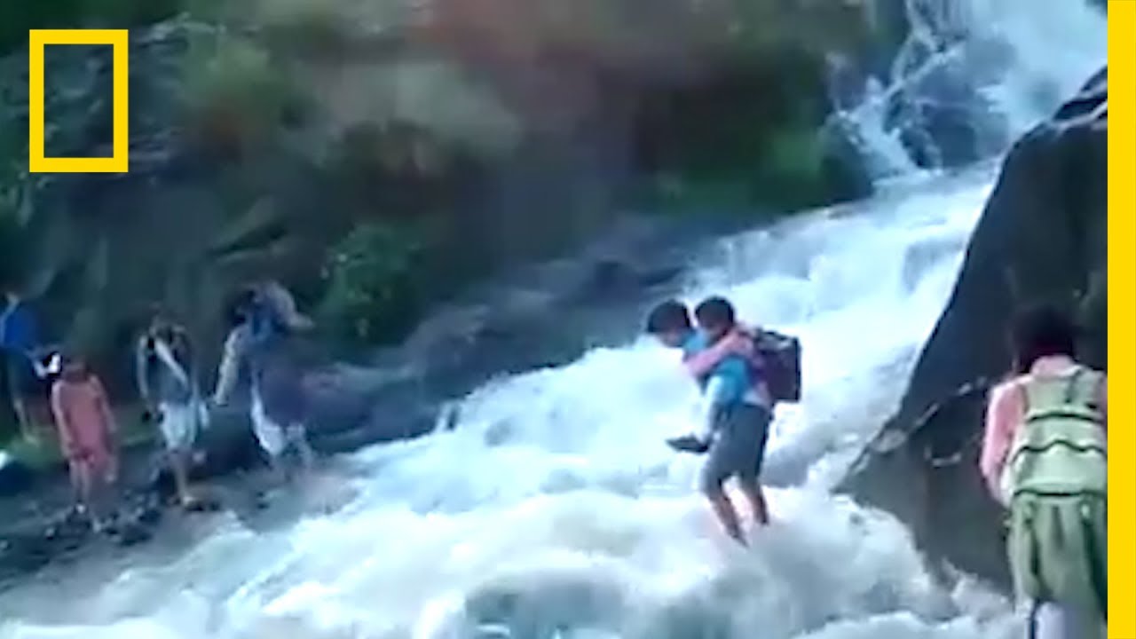 เพื่อจะไปโรงเรียน เด็กๆ ชาวอินเดียเหล่านี้ต้องข้ามแม่น้ำที่ไหลเชี่ยว