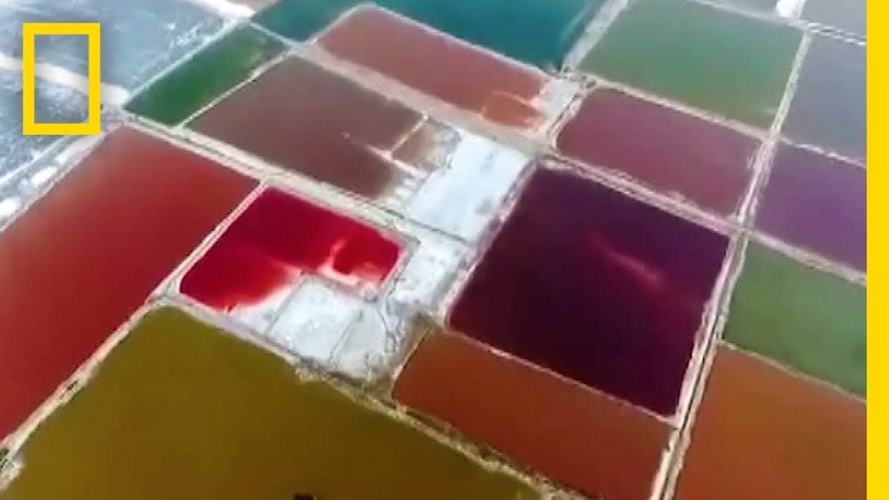 ทะเล “เดดซี” ในจีนเปลี่ยนเป็นสีรุ้ง