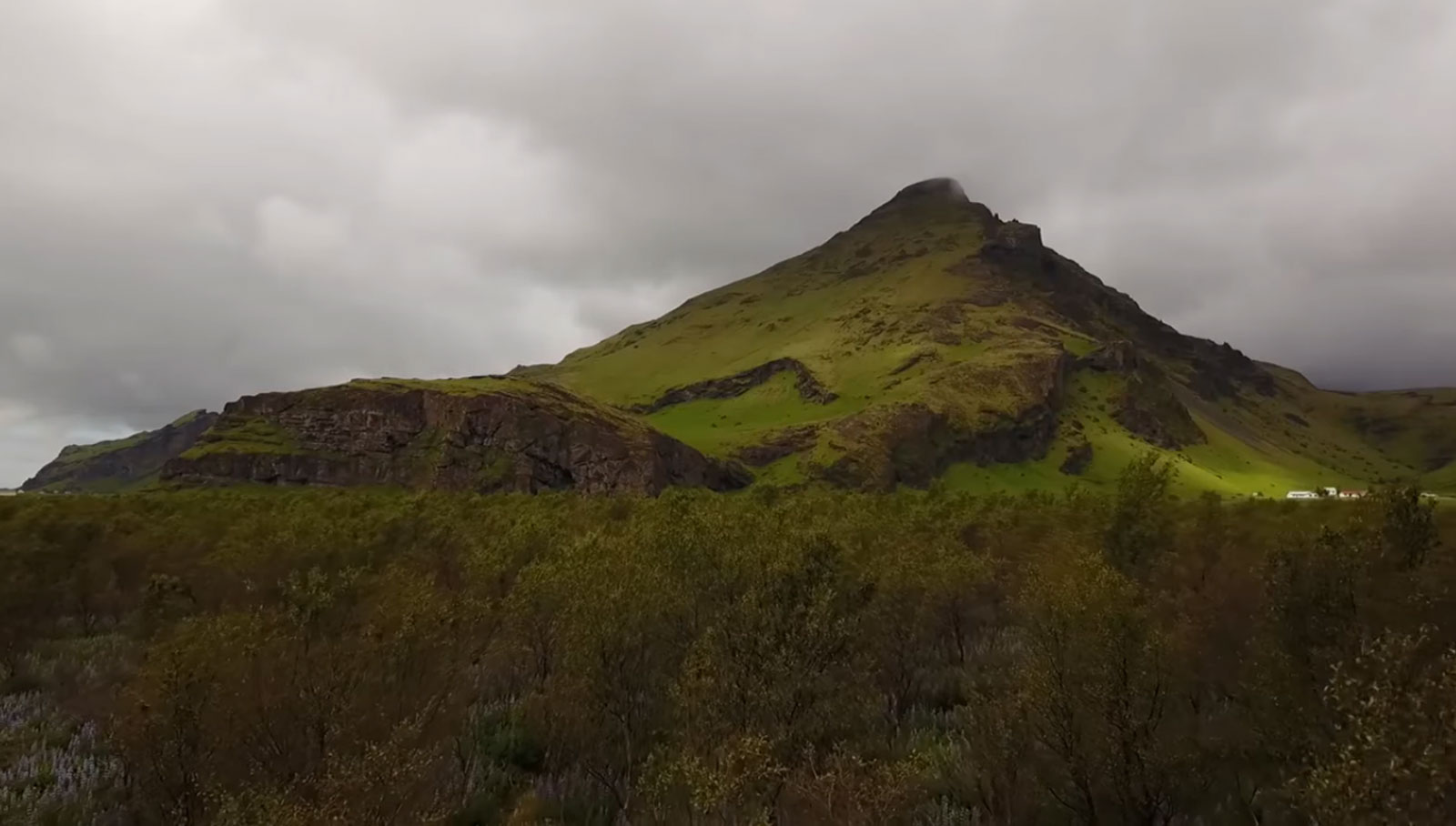 ไอซ์แลนด์ปลูกป่าครั้งแรกในรอบพันปี