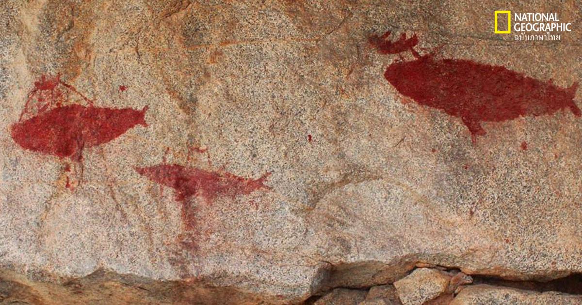 พบภาพเขียนสีโบราณรูปล่าวาฬบนผนังถ้ำในชิลี