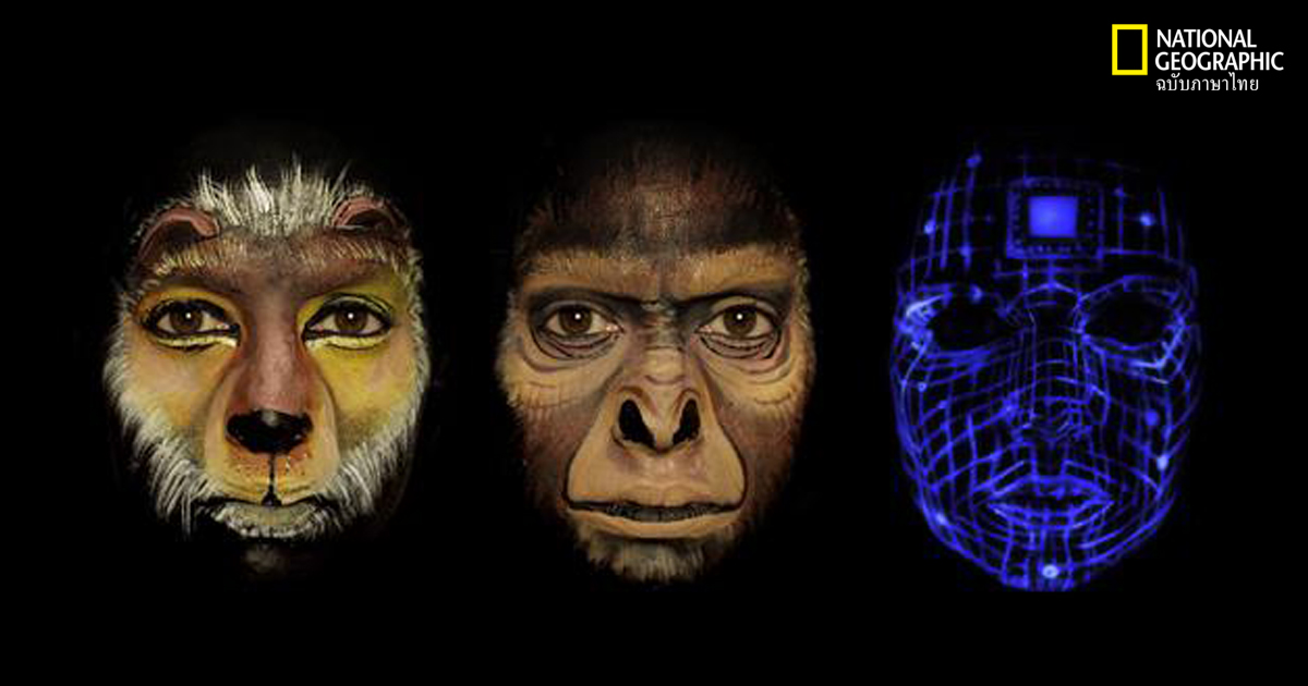 วิวัฒนาการมนุษย์ผ่านศิลปะบนใบหน้า