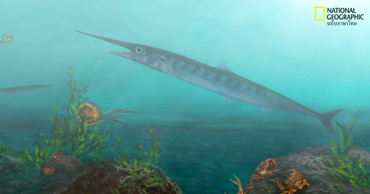 ฟอสซิลปลาโบราณที่ถูกค้นพบโดยเด็กสิบขวบ
