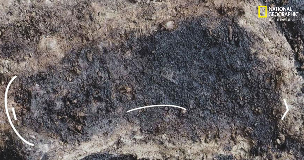 พบรอยเท้ามนุษย์อายุ 13,000 ปี เก่าแก่ที่สุดในอเมริกาเหนือ