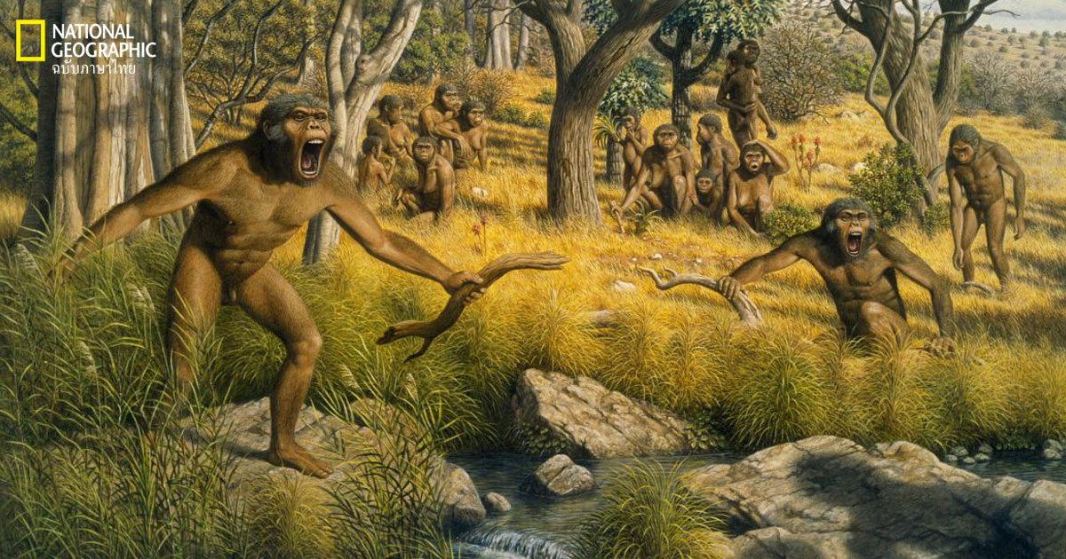 12 ทฤษฎี เราวิวัฒนาการมาเป็นมนุษย์ได้อย่างไร?