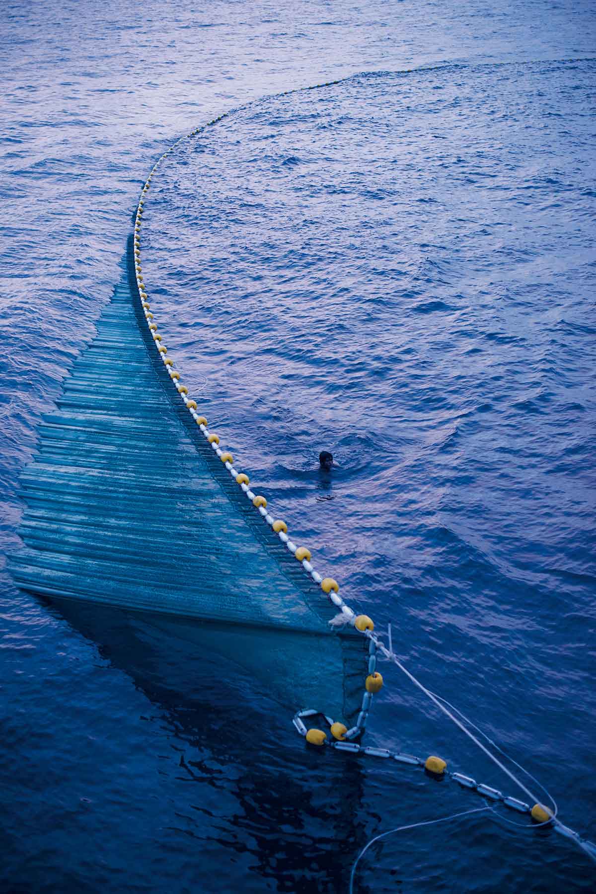 เพาะเลี้ยงสัตว์น้ำ