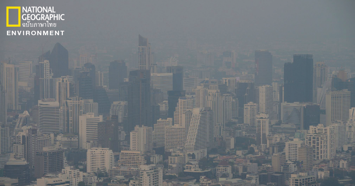 ฝุ่นละออง PM 2.5 ภัยร้ายกลางเมืองที่กำลังคุกคามสุขภาพ