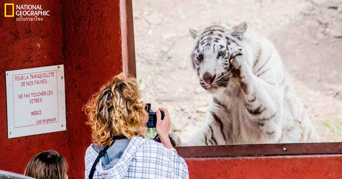 à¹à¸à¸¥à¸à¸µà¹