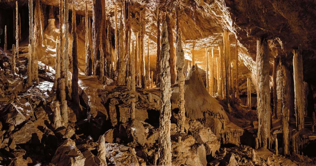 เกาะบอร์เนียว