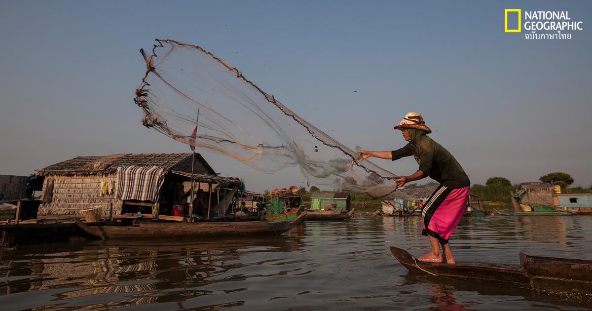 เขตรักษาพันธุ์ปลาในแม่น้ำช่วยฟื้นฟูปลาขนาดใหญ่ในเอเชียตะวันออกเฉียงใต้