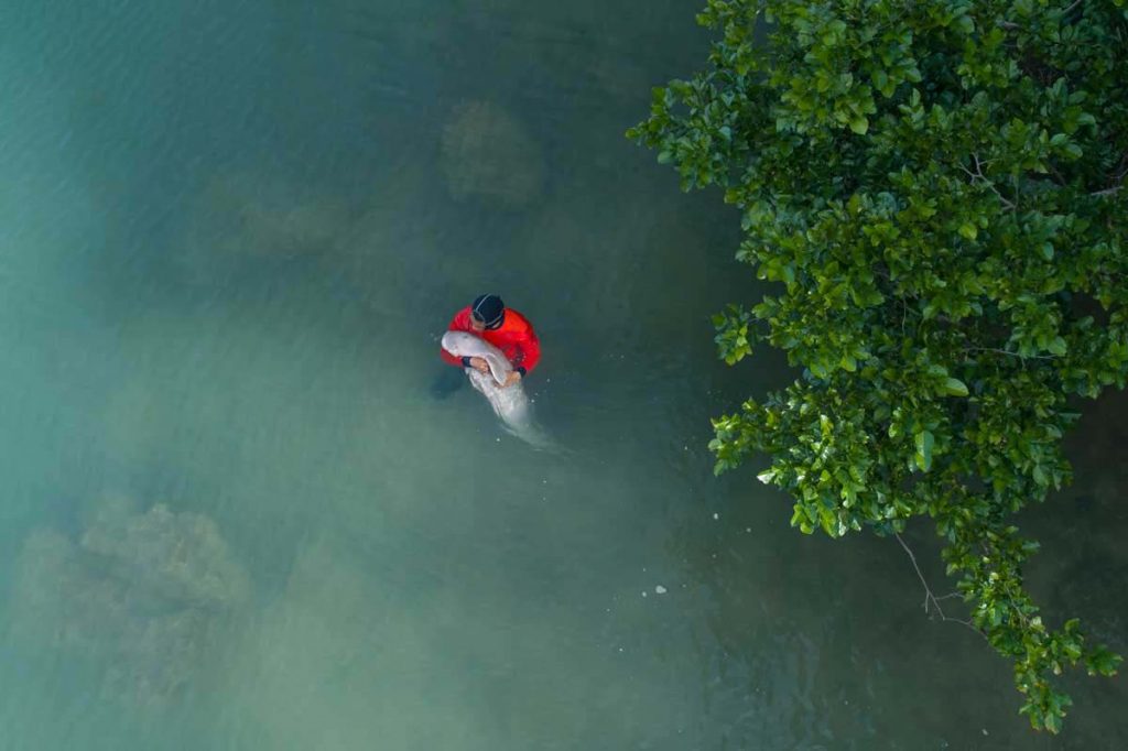 มาเรียม