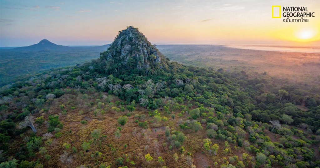 การอนุรักษ์