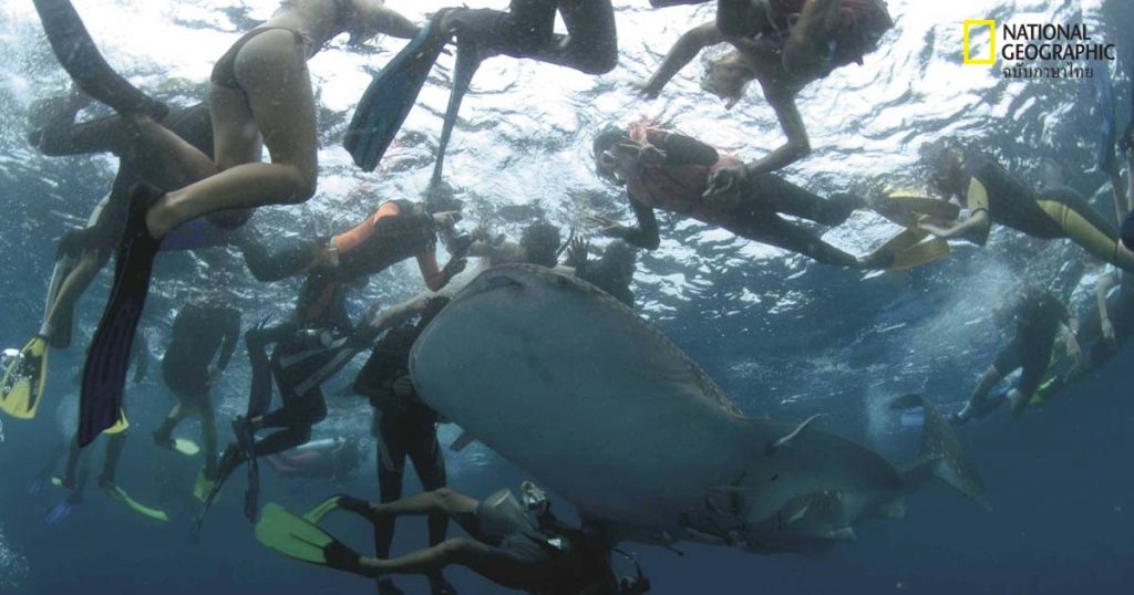 ทะเลไทย