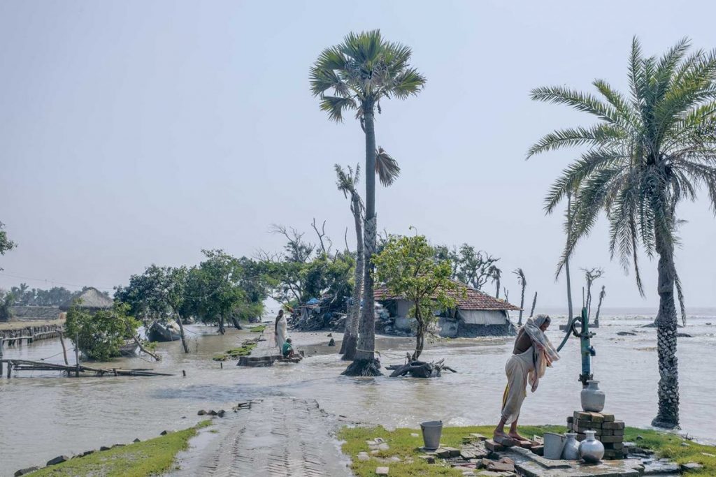 ป่าชายเลน, ระดับน้ำทะเล