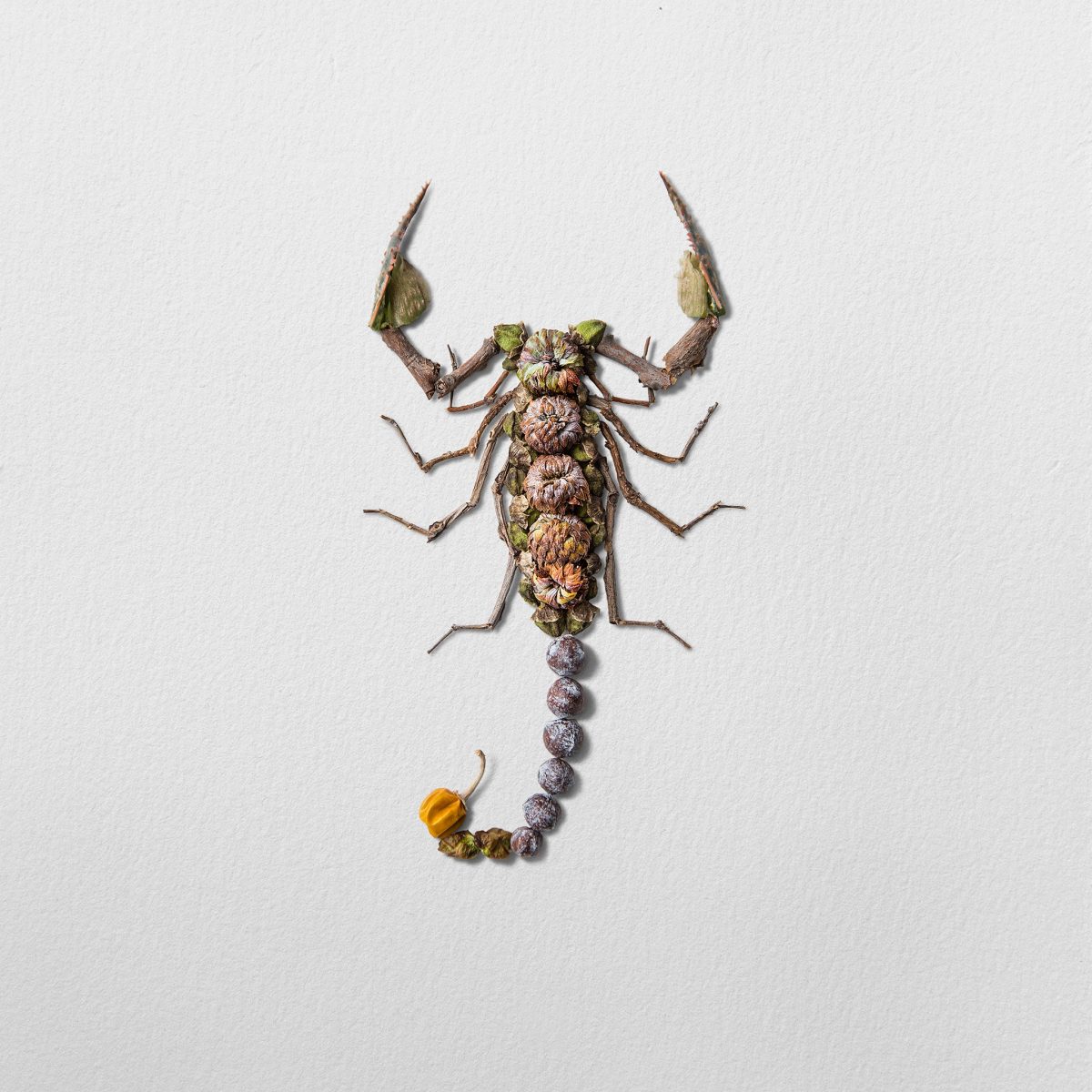 ศิลปะจากธรรมชาติ