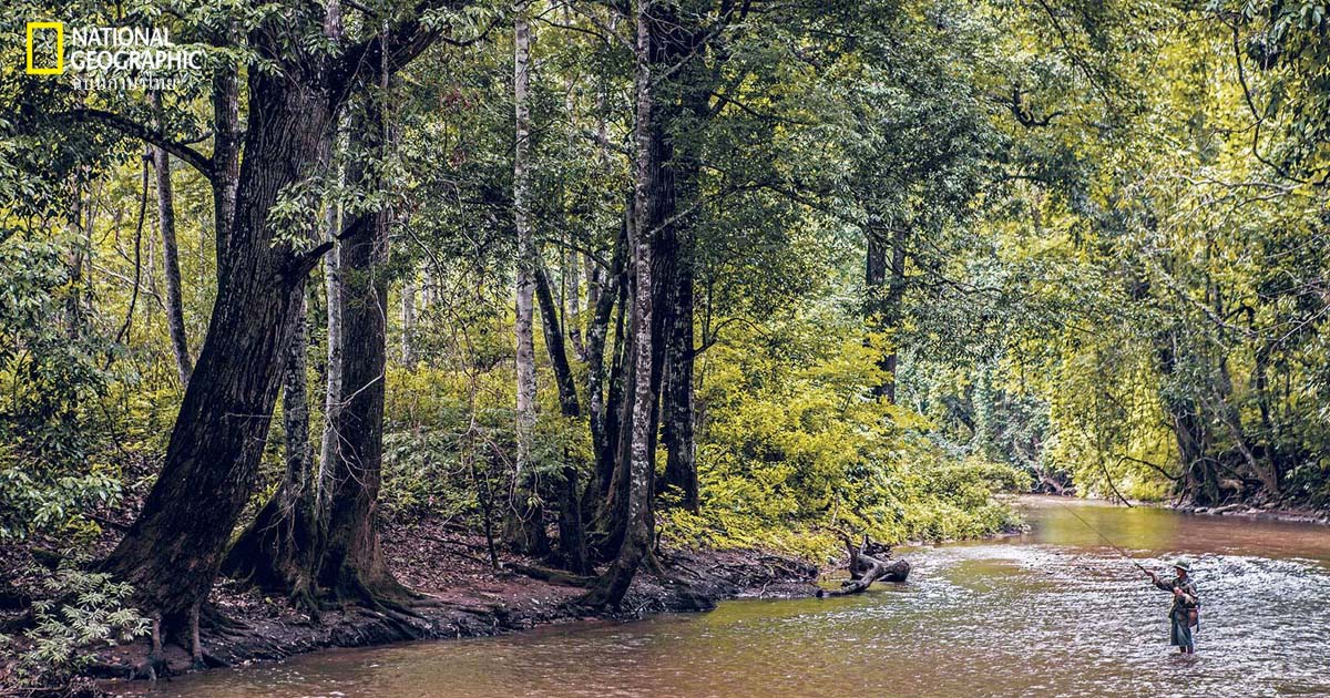 ลมฟ้าอากาศ