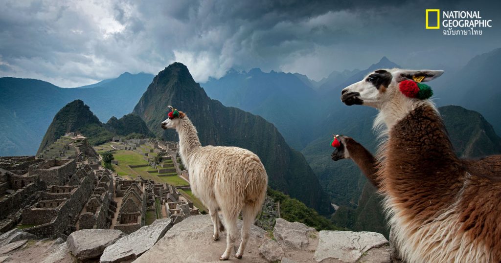 เคล็ดลับถ่ายภาพ