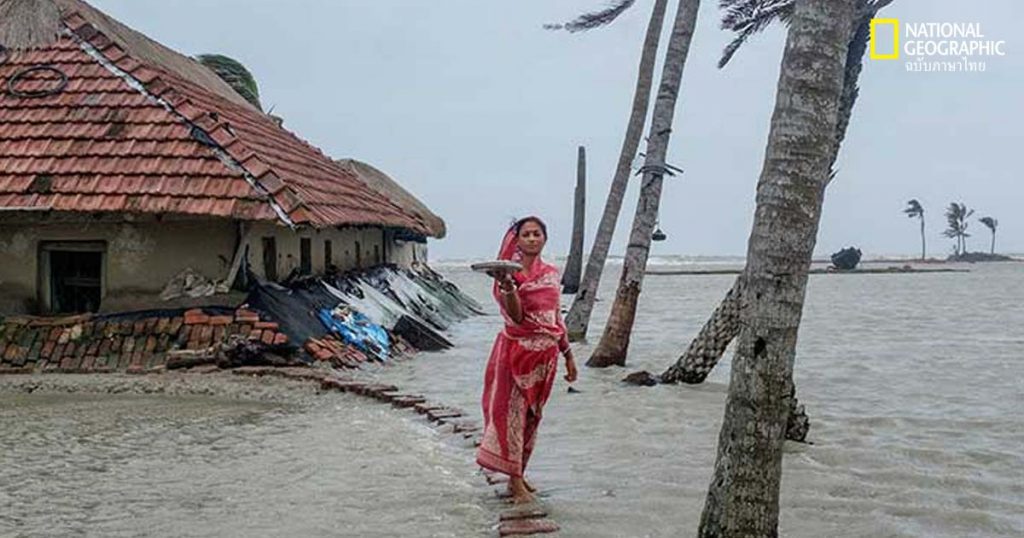 ระดับน้ำทะเล