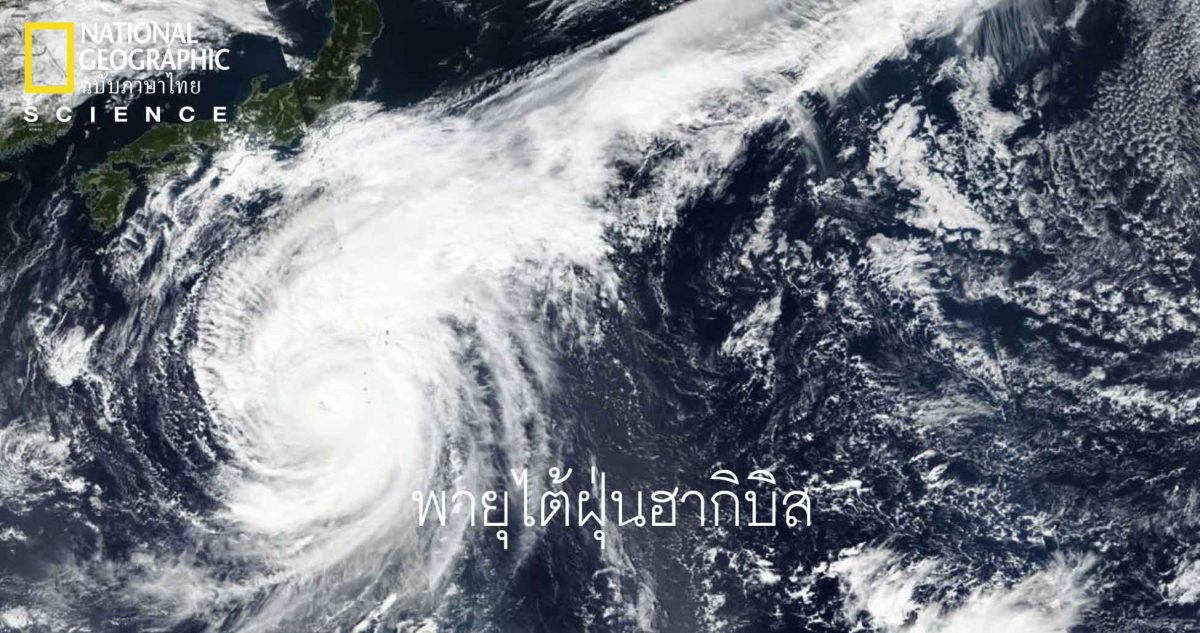 พายุไต้ฝุ่นฮากิบิส : พายุที่สร้างความกังวลไปทั่วญี่ปุ่น