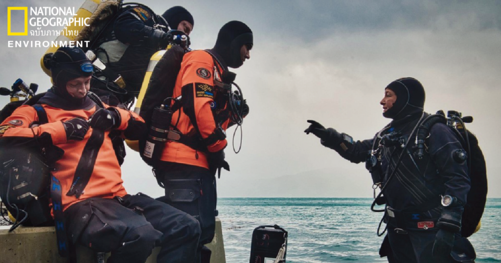 อาสาสมัคร, ดำน้ำ, นักดำน้ำ, นิวซีแลนด์