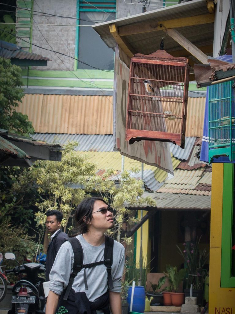 ดูนกที่เกาะชวา, ดูนก, เกาะชวา, อินโดนีเซีย